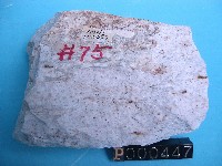 長石砂岩藏品圖，第5張