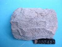 長石砂岩藏品圖，第5張