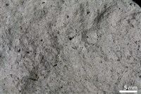 長石砂岩藏品圖，第3張