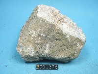 石英安山岩藏品圖，第2張