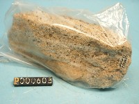 安山岩藏品圖，第2張