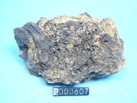 角礫岩藏品圖，第5張