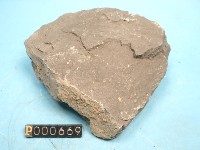 粉砂岩藏品圖，第5張