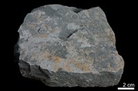 粉砂岩藏品圖，第2張