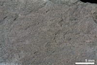 粉砂岩藏品圖，第4張