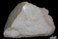 混濁砂岩藏品圖，第1張