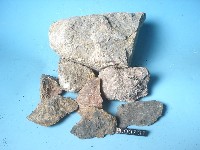 礫岩藏品圖，第6張