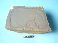 粉砂岩藏品圖，第6張