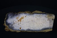 玉髓藏品圖，第4張