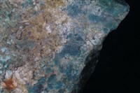玉髓藏品圖，第3張