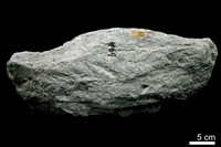 滑石藏品圖，第2張