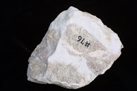 石膏藏品圖，第1張