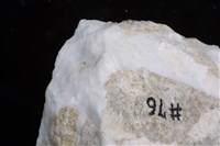 石膏藏品圖，第2張