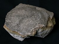 北投石藏品圖，第3張