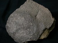 北投石藏品圖，第4張