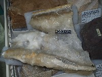 鐘乳石藏品圖，第4張