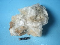 鐘乳石藏品圖，第4張