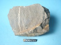 砂岩藏品圖，第5張