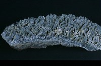 硫砷銅礦藏品圖，第1張