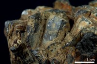 硫砷銅礦 藏品圖，第4張