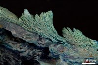 膽礬藏品圖，第4張