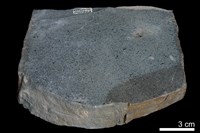 粉砂岩藏品圖，第3張