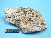 石灰華藏品圖，第6張