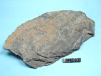頁岩藏品圖，第5張