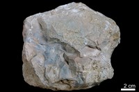 燧石藏品圖，第2張