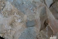 燧石藏品圖，第6張