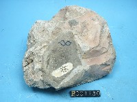 燧石藏品圖，第5張