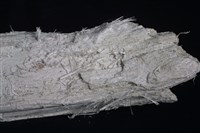 纖蛇紋石藏品圖，第2張