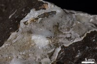 鈉沸石藏品圖，第2張