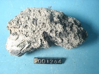 石灰華藏品圖，第5張