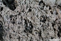 石灰華藏品圖，第4張
