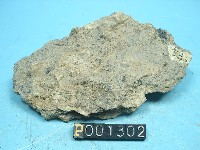 火山灰藏品圖，第2張