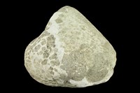 火山角礫岩藏品圖，第1張