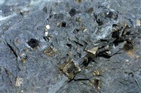 綠色片岩/黃鐵礦藏品圖，第2張