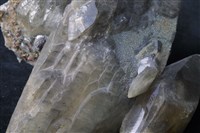 方解石藏品圖，第7張