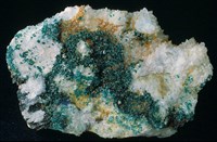 水膽礬藏品圖，第1張