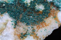 水膽礬藏品圖，第2張