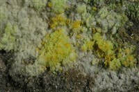 水鈉鈣鈾礦 藏品圖，第3張