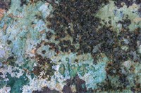 磷銅礦 藏品圖，第3張