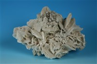 石膏藏品圖，第1張