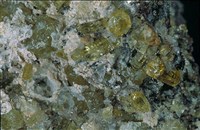 磷灰石藏品圖，第8張