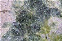 銀星石藏品圖，第3張
