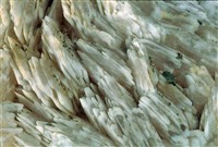 重晶石/黃鐵礦藏品圖，第2張