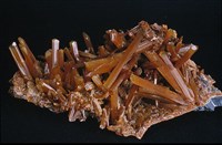 透石膏/石膏藏品圖，第1張