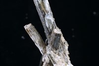 黃銻華 藏品圖，第2張