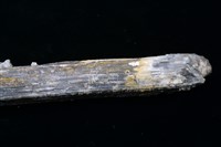 黃銻華 藏品圖，第3張